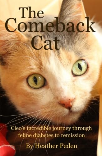 The Comeback Cat